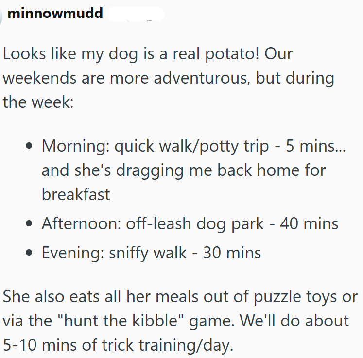 minnowmudd Looks like my dog is a real potato! Our weekends are more adventurous, but during the week: • Morning: quick walk/potty trip - 5 mins... and she's dragging me back home for breakfast • Afternoon: off-leash dog park - 40 mins • Evening: sniffy walk -30 mins She also eats all her meals out of puzzle toys or via the "hunt the kibble" game. We'll do about 5-10 mins of trick training/day.