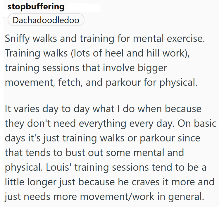 stopbuffering Dachadoodledoo Sniffy walks and training for mental exercise. Training walks (lots of heel and hill work), training sessions that involve bigger movement, fetch, and parkour for physical. It varies day to day what I do when because they don't need everything every day. On basic days it's just training walks or parkour since that tends to bust out some mental and physical. Louis' training sessions tend to be a little longer just because he craves it more and just needs more movement