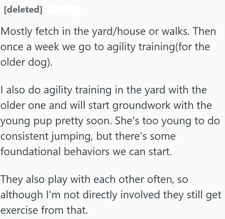 [deleted] Mostly fetch in the yard/house or walks. Then once a week we go to agility training(for the older dog). I also do agility training in the yard with the older one and will start groundwork with the young pup pretty soon. She's too young to do consistent jumping, but there's some foundational behaviors we can start. They also play with each other often, so although I'm not directly involved they still get exercise from that.