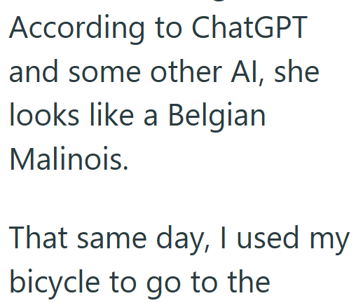 According to ChatGPT and some other Al, she looks like a Belgian Malinois. That same day, I used my bicycle to go to the