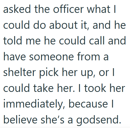 asked the officer what I could do about it, and he told me he could call and have someone from a shelter pick her up, or I could take her. I took her immediately, because I believe she's a godsend.