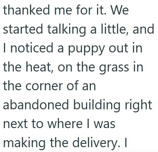 thanked me for it. We started talking a little, and I noticed a puppy out in the heat, on the grass in the corner of an abandoned building right next to where I was making the delivery. I