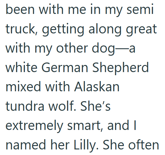 been with me in my semi truck, getting along great with my other dog-a white German Shepherd mixed with Alaskan tundra wolf. She's extremely smart, and I named her Lilly. She often