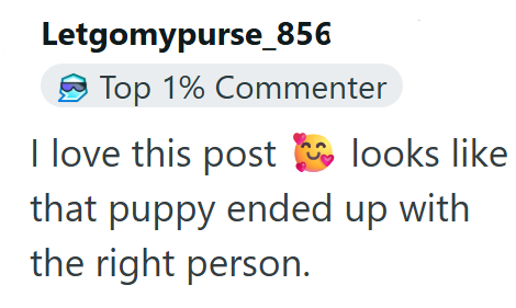 Letgomypurse_856 Top 1% Commenter I love this post looks like that puppy ended up with the right person.
