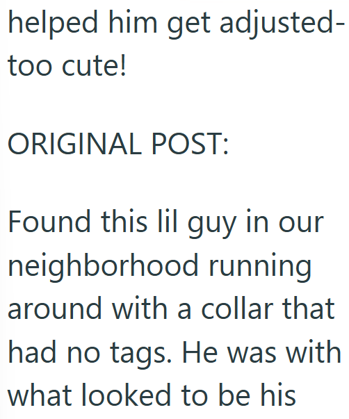 helped him get adjusted- too cute! ORIGINAL POST: Found this lil guy in our neighborhood running around with a collar that had no tags. He was with what looked to be his