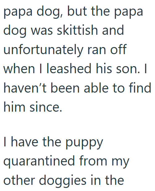 papa dog, but the papa dog was skittish and unfortunately ran off when I leashed his son. I haven't been able to find him since. I have the puppy quarantined from my other doggies in the