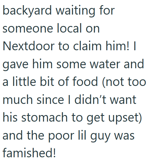 backyard waiting for someone local on Nextdoor to claim him! I gave him some water and a little bit of food (not too much since I didn't want his stomach to get upset) and the poor lil guy was famished!
