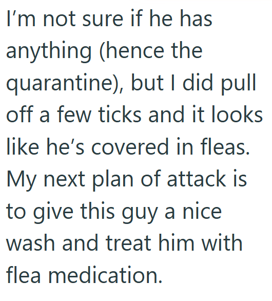 I'm not sure if he has anything (hence the quarantine), but I did pull off a few ticks and it looks like he's covered in fleas. My next plan of attack is to give this guy a nice wash and treat him with flea medication.