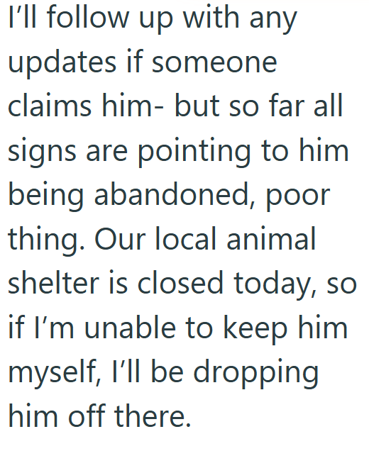 I'll follow up with any updates if someone claims him- but so far all signs are pointing to him being abandoned, poor thing. Our local animal shelter is closed today, so if I'm unable to keep him myself, I'll be dropping him off there.