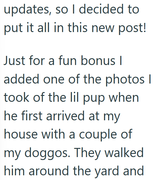 updates, so I decided to put it all in this new post! Just for a fun bonus I added one of the photos I took of the lil pup when he first arrived at my house with a couple of my doggos. They walked him around the yard and
