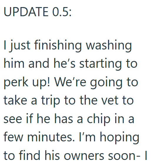 UPDATE 0.5: I just finishing washing him and he's starting to perk up! We're going to take a trip to the vet to see if he has a chip in a few minutes. I'm hoping to find his owners soon- I