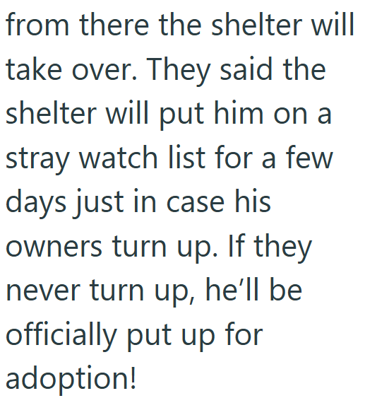 from there the shelter will take over. They said the shelter will put him on a stray watch list for a few days just in case his owners turn up. If they never turn up, he'll be officially put up for adoption!