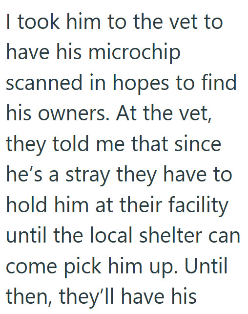 I took him to the vet to have his microchip scanned in hopes to find his owners. At the vet, they told me that since he's a stray they have to hold him at their facility until the local shelter can come pick him up. Until then, they'll have his
