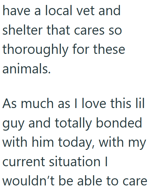 have a local vet and shelter that cares so thoroughly for these animals. As much as I love this lil guy and totally bonded with him today, with my current situation I wouldn't be able to care