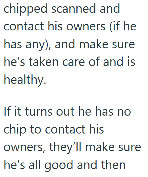 chipped scanned and contact his owners (if he has any), and make sure he's taken care of and is healthy. If it turns out he has no chip to contact his owners, they'll make sure he's all good and then