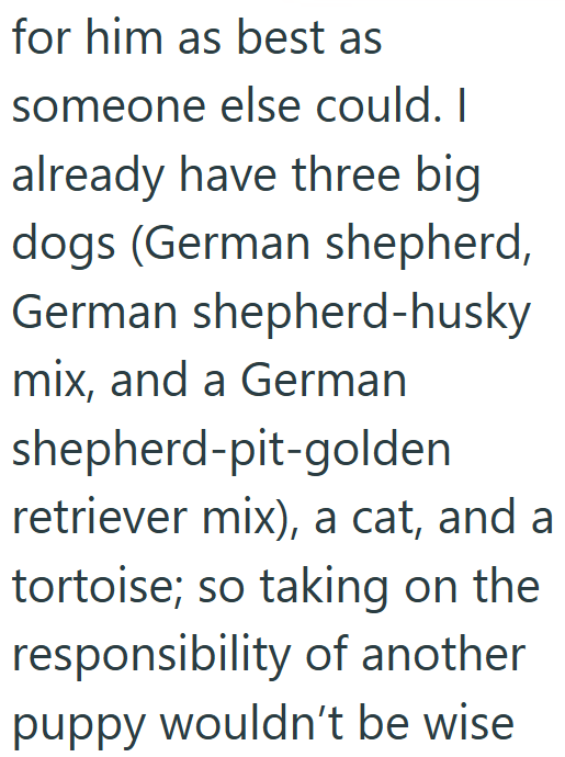 for him as best as someone else could. I already have three big dogs (German shepherd, German shepherd-husky mix, and a German shepherd-pit-golden retriever mix), a cat, and a tortoise; so taking on the responsibility of another puppy wouldn't be wise