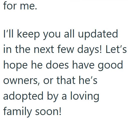 for me. I'll keep you all updated in the next few days! Let's hope he does have good owners, or that he's adopted by a loving family soon!