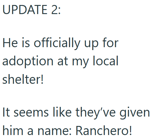 UPDATE 2: He is officially up for adoption at my local shelter! It seems like they've given him a name: Ranchero!