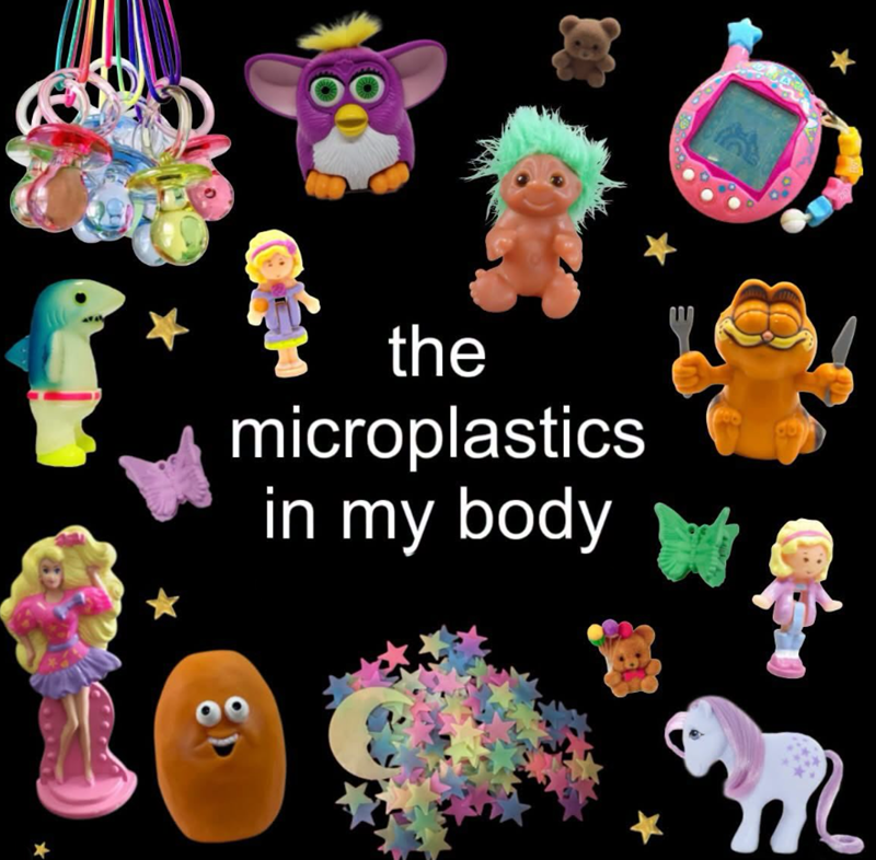 the microplastics in my body