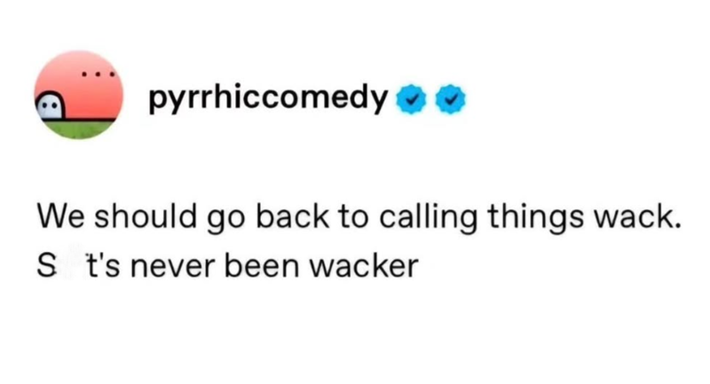 pyrrhiccomedy We should go back to calling things wack. S t's never been wacker