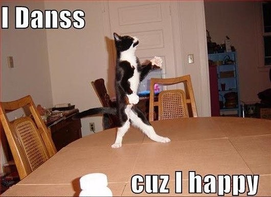 Cheezburger Image 10652998400