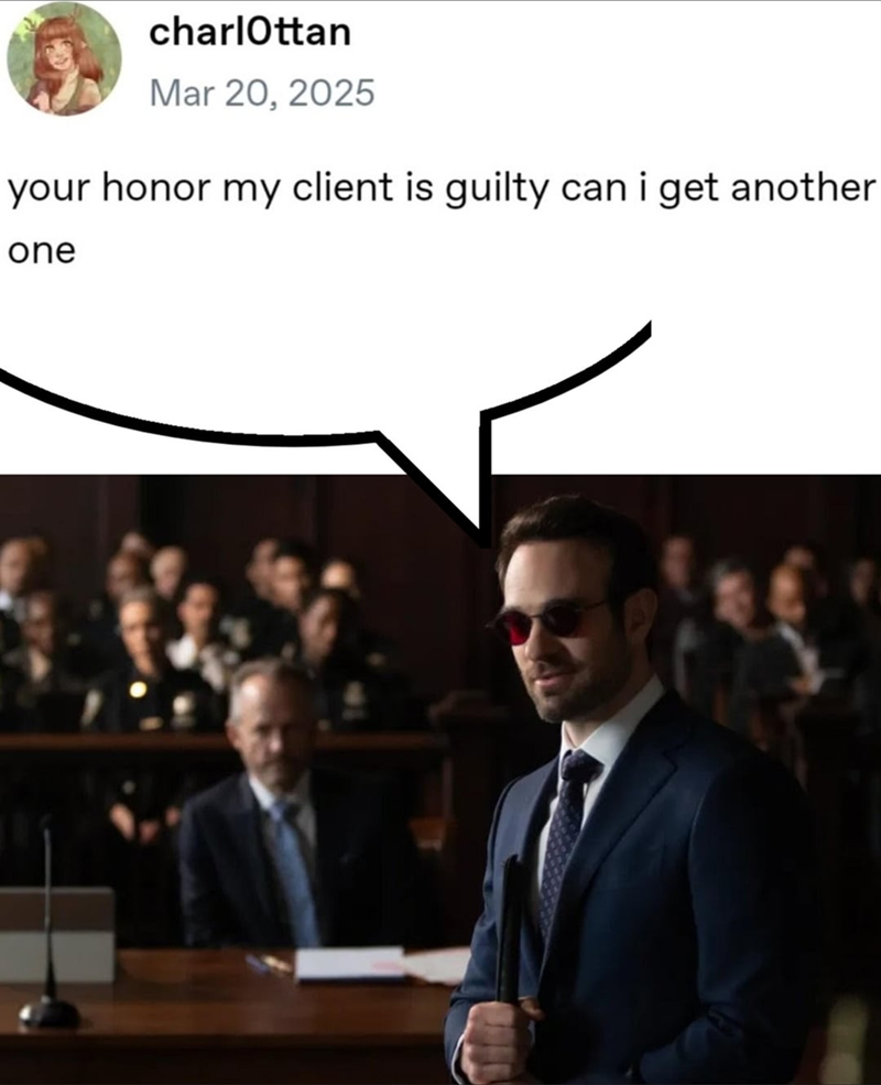 charlottan Mar 20, 2025 your honor my client is guilty can i get another one