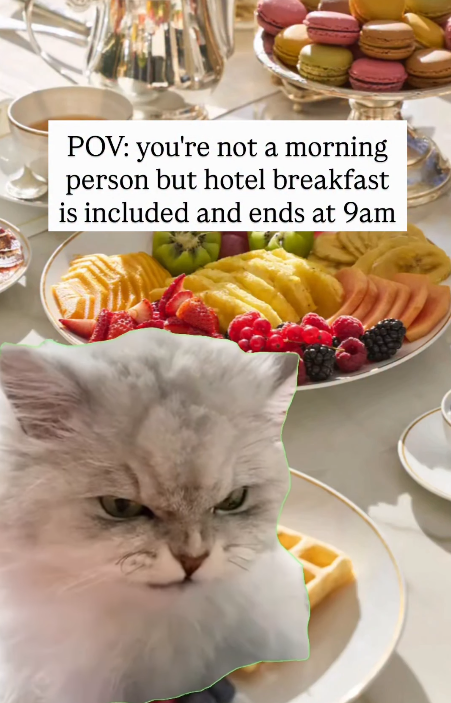 POV: you're not a morning person but hotel breakfast is included and ends at 9am