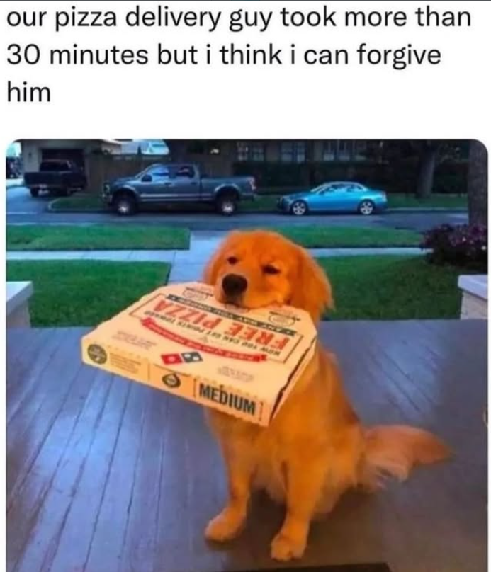 our pizza delivery guy took more than 30 minutes but i think i can forgive him D MEDIUM 49 B