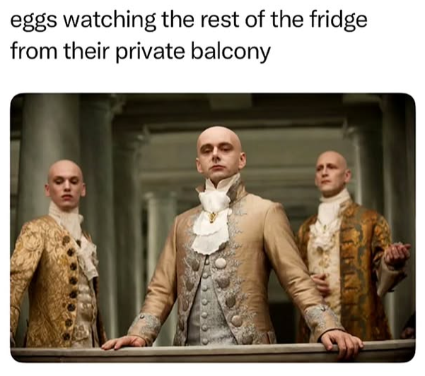 eggs watching the rest of the fridge from their private balcony