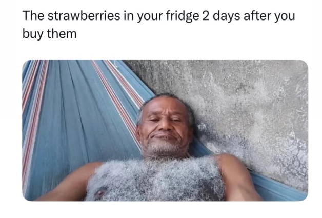 The strawberries in your fridge 2 days after you buy them