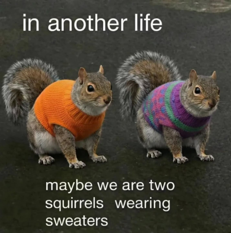 in another life maybe we are two squirrels wearing sweaters