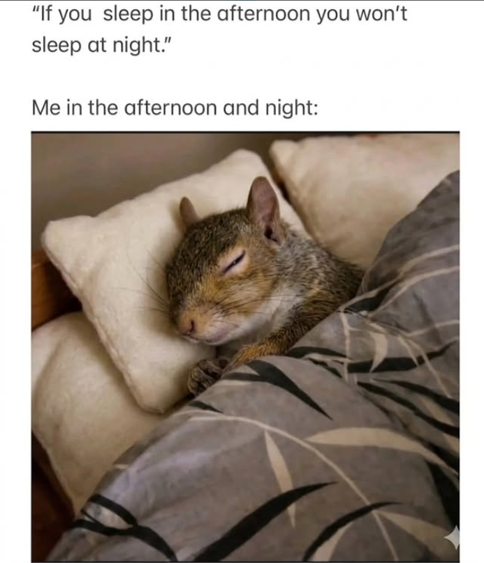 "If you sleep in the afternoon you won't sleep at night." Me in the afternoon and night: