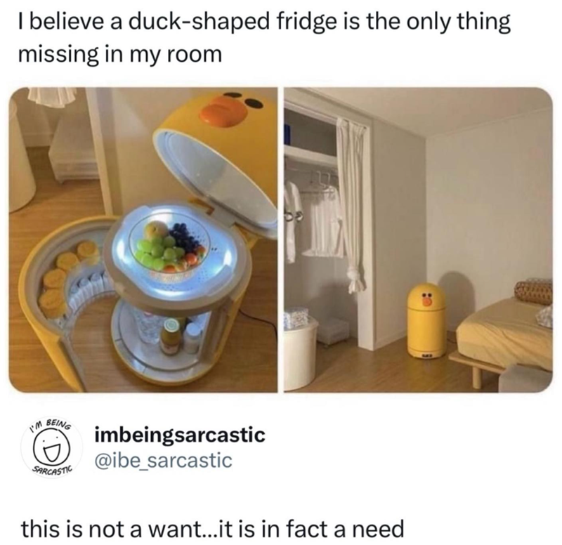 I believe a duck-shaped fridge is the only thing missing in my room I'm BEING SARCASTIC imbeingsarcastic @ibe_sarcastic this is not a want...it is in fact a need