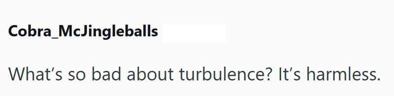 Cobra McJingleballs What's so bad about turbulence? It's harmless.