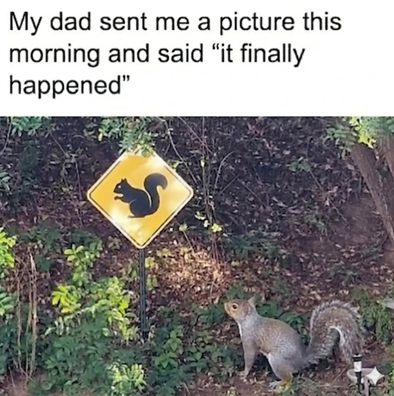 My dad sent me a picture this morning and said "it finally happened"