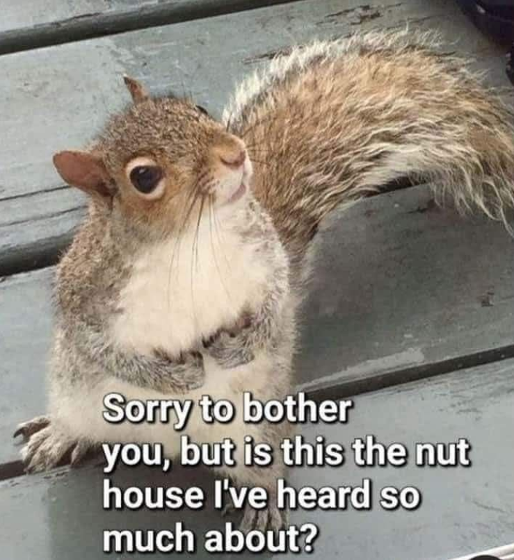 Sorry to bother you, but is this the nut house I've heard so much about?