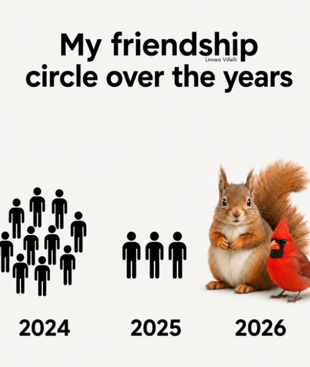 Linnea Villelli My friendship circle over the years 2024 E ர்ர் 2025 2026