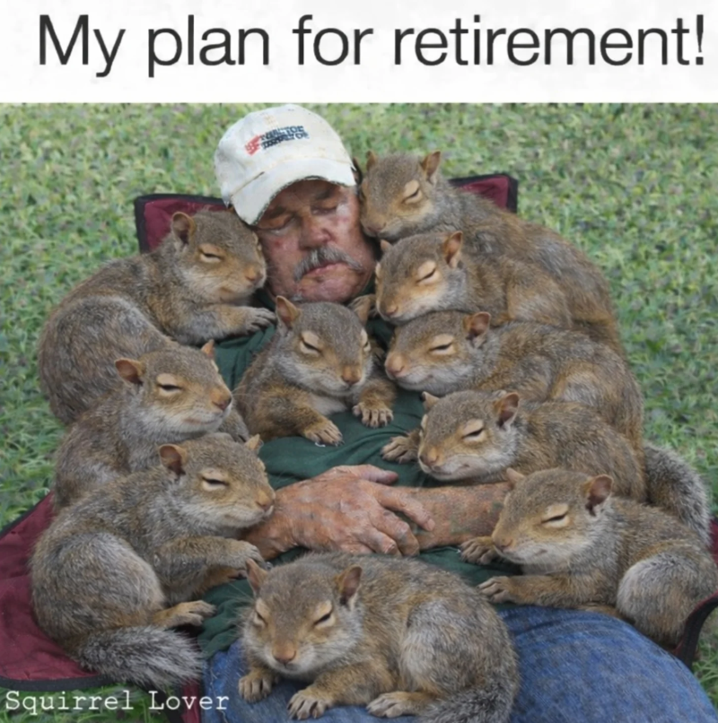 My plan for retirement! Squirrel Lover