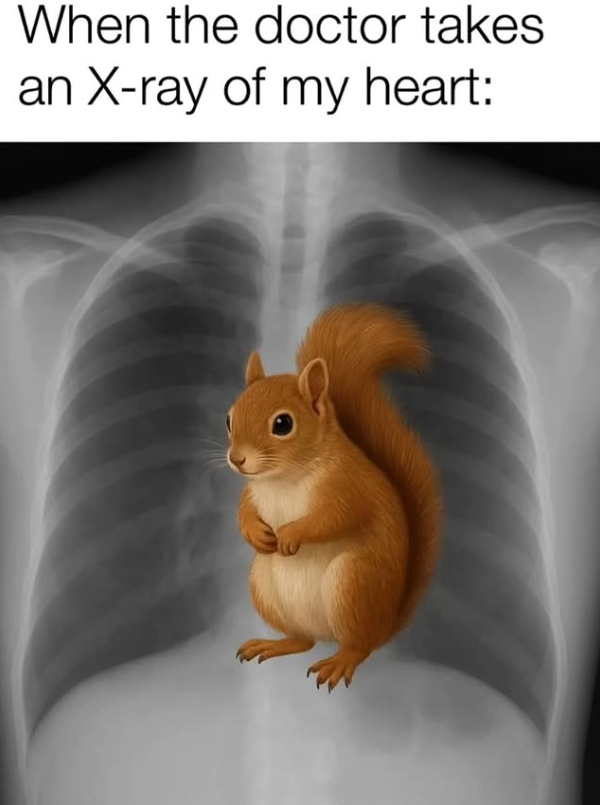 When the doctor takes an X-ray of my heart: