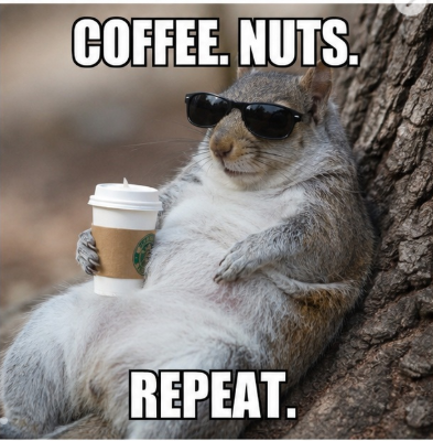 COFFEE, NUTS. REPEAT.