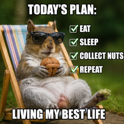 TODAY'S PLAN: ✓ EAT SLEEP COLLECT NUTS REPEAT LIVING MY BEST LIFE