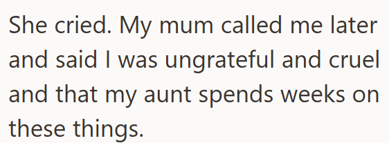 She cried. My mum called me later and said I was ungrateful and cruel and that my aunt spends weeks on these things.