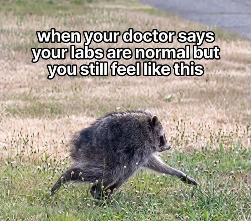 when your doctor says your labs are normal but you still feel like this
