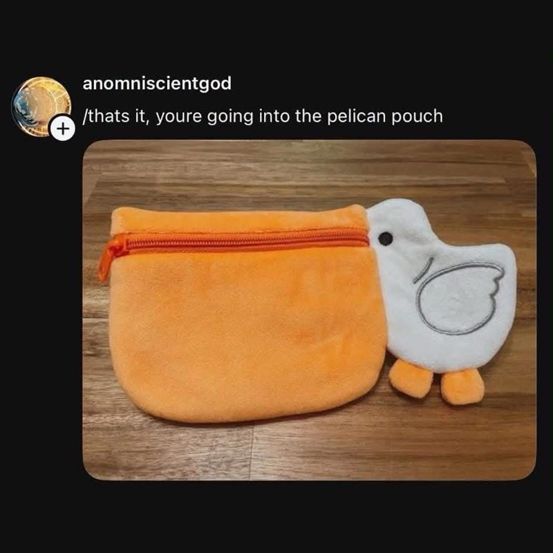 + anomniscientgod /thats it, youre going into the pelican pouch