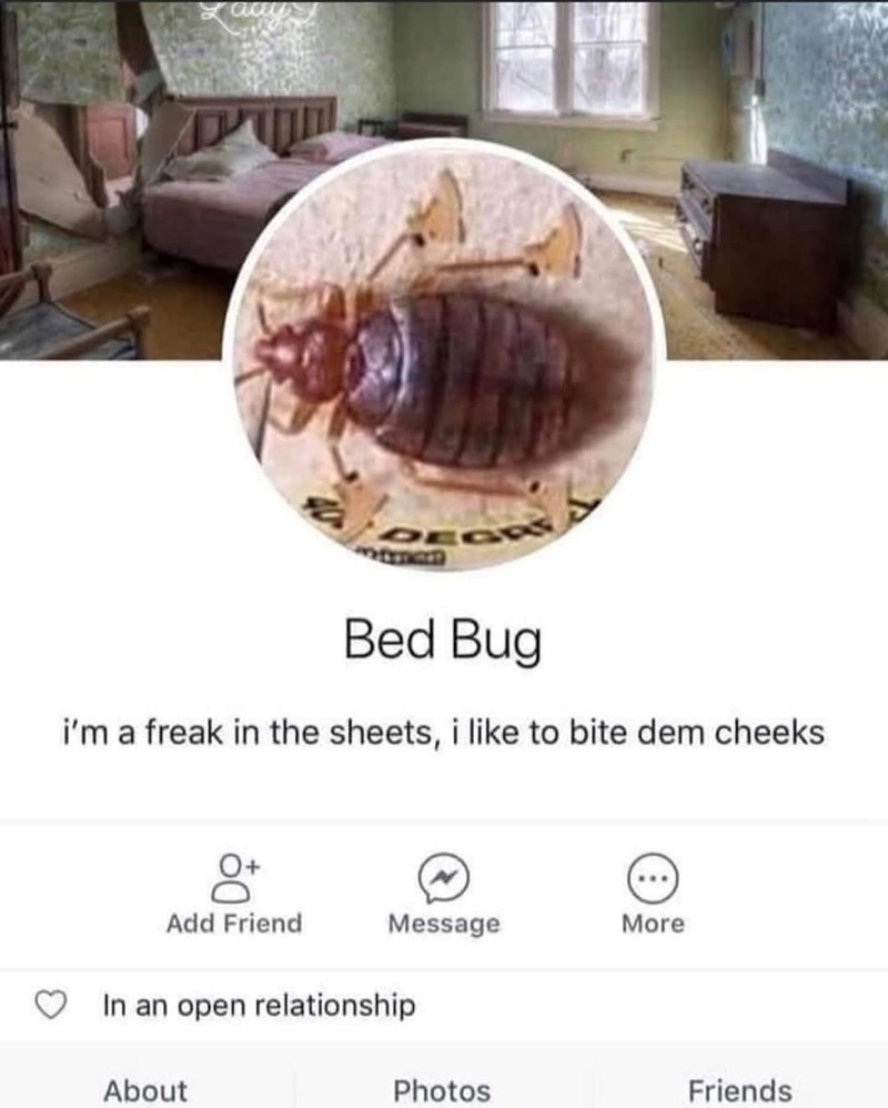 DE Bed Bug i'm a freak in the sheets, i like to bite dem cheeks Add Friend Message More In an open relationship About Photos Friends
