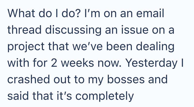 What do I do? I'm on an email thread discussing an issue on a project that we've been dealing with for 2 weeks now. Yesterday I crashed out to my bosses and said that it's completely