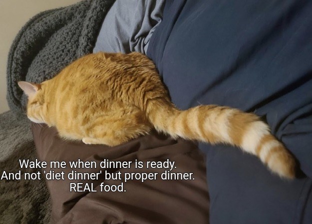 Cheezburger Image 10653128192
