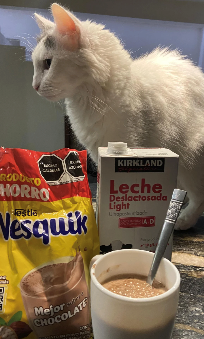 EXCESO CALORÍAS RODDATO HORRO Nestle EXCES AZÚCAR SECRETARIA DE SALUD Nesquik KIRKLAND Leche Deslactosada Light Ultrapasteurizada ADICION/ADA AD CON VITAMINAS ea más Gjor sabora CONTA ALIMENTO EN POLVO PARA SABOR A CH Este produc 10 g/L d