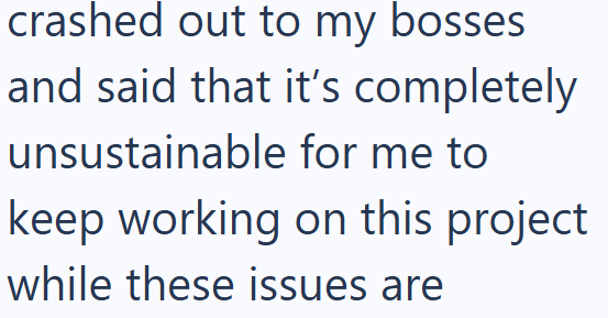crashed out to my bosses and said that it's completely unsustainable for me to keep working on this project while these issues are