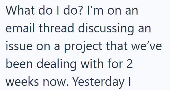 What do I do? I'm on an email thread discussing an issue on a project that we've been dealing with for 2 weeks now. Yesterday I